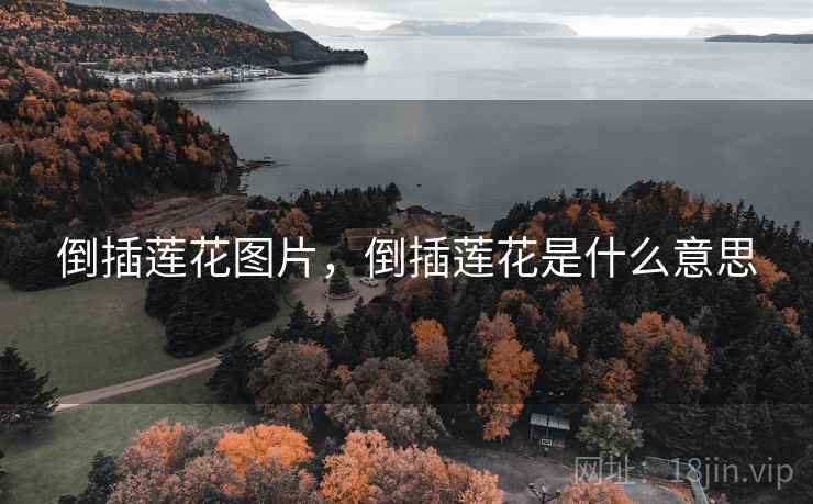 倒插莲花图片，倒插莲花是什么意思
