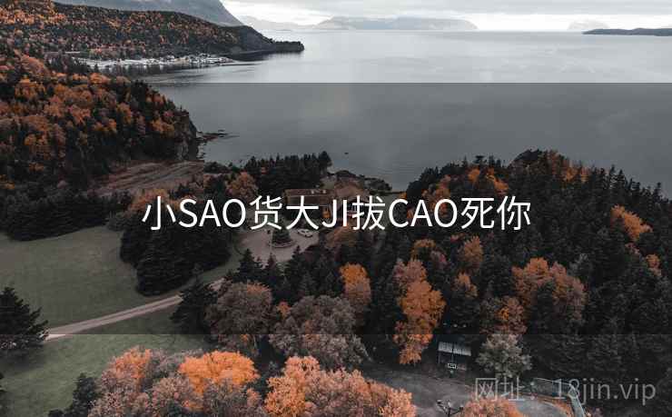 小SAO货大JI拔CAO死你 小SAO货大JI拔CAO死你