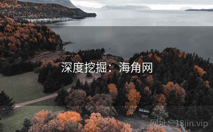深度挖掘：海角网
